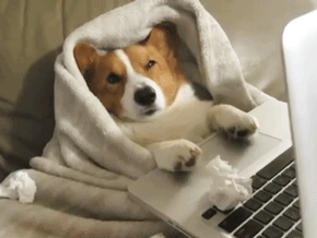 1628846121855268.gif DM_20210813171222_005.GIF