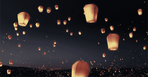 1629787434843610.gif 1629787434843610.gif