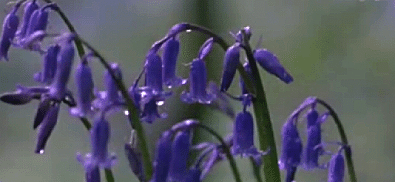 1646795513114723.gif 1646795513114723.gif