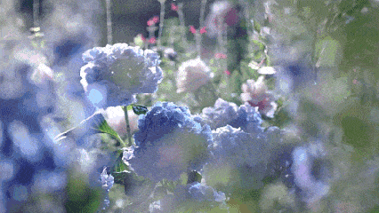 1647823733267095.gif 1647823733267095.gif