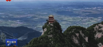 11.gif