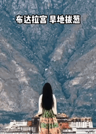55.gif